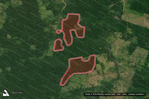 Imagem de satélite de Infração da Flora em Anapu - PA