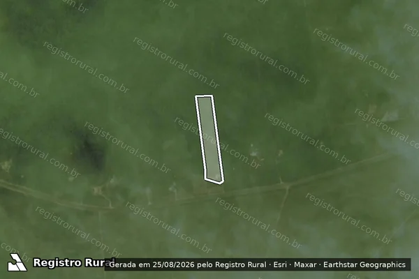 Imagem de satélite — Embargo IBAMA — Infração da Flora - Irituia/PA