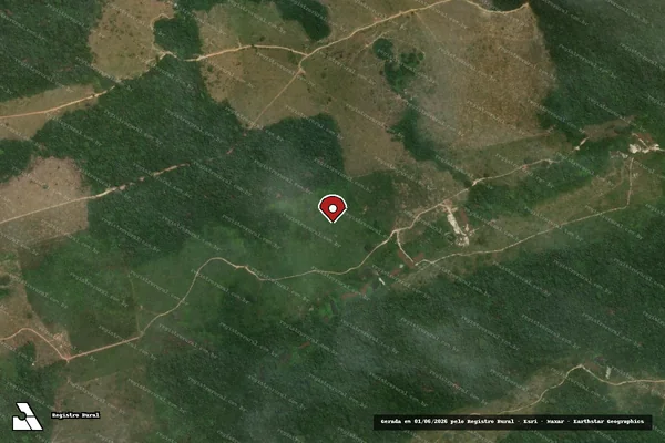 Imagem de satélite de Infração da Flora em Novo Progresso - PA (marcador da localização)