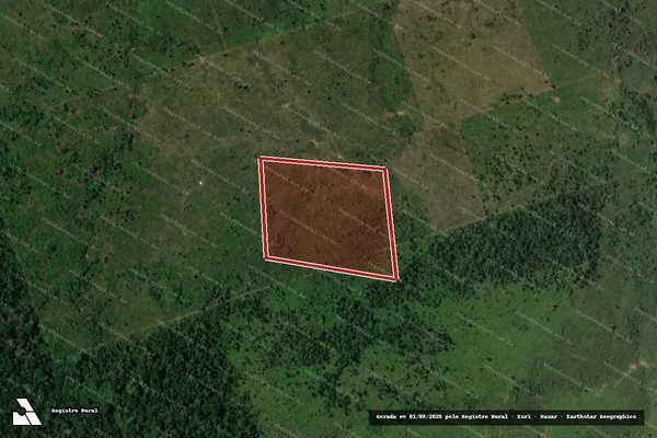 Imagem de satélite de Infração da Flora em Colniza - MT