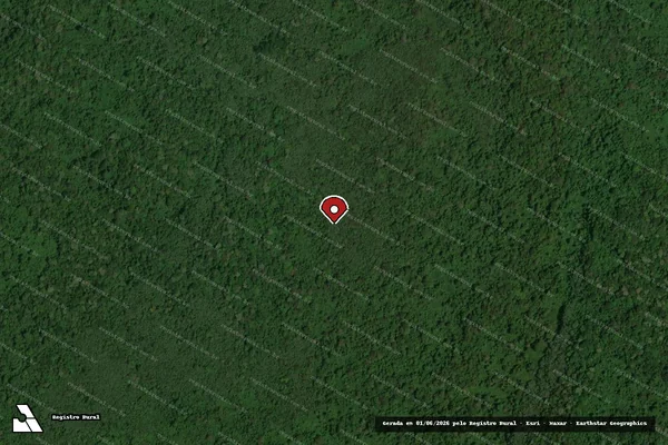 Imagem de satélite de Desmatamento em Almeirim - PA (marcador da localização)