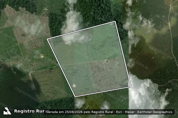 Imagem de satélite — Embargo Ambiental - Medicilândia/PA