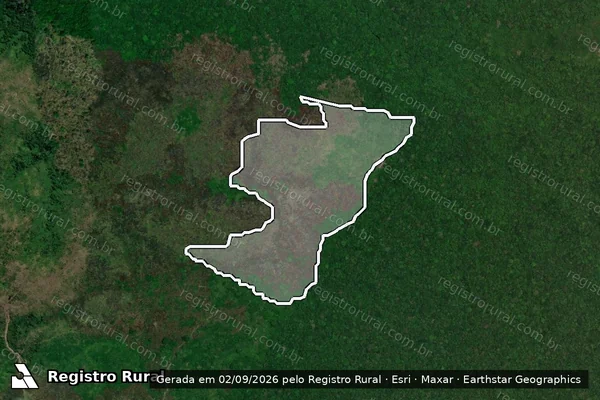 Imagem de satélite de Infração Ambiental em Novo Aripuanã - AM
