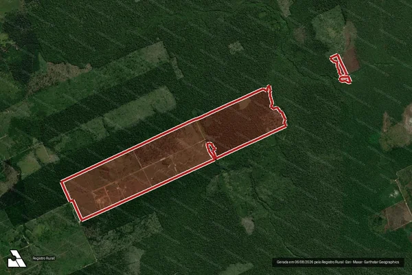 Imagem de satélite de Infração da Flora em Porto Velho - RO
