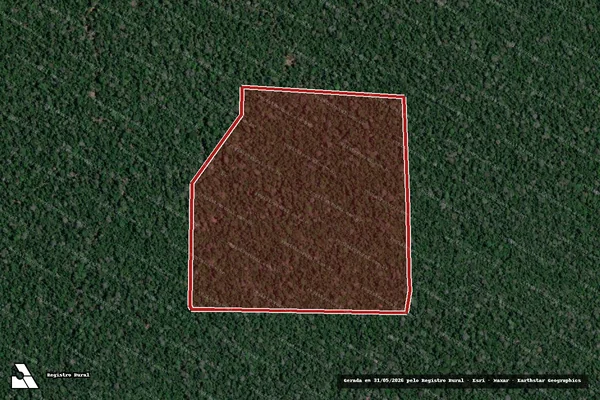 Imagem de satélite de Infração da Flora em Lábrea - AM