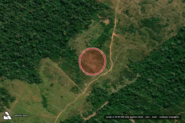 Imagem de satélite de Desmatamento em Rio Branco - AC