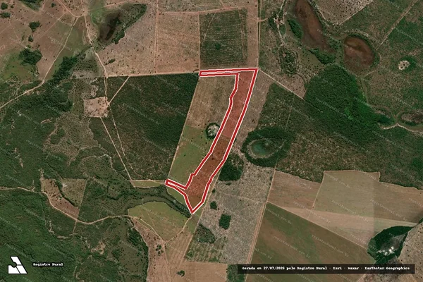 Imagem de satélite — Embargo IBAMA — Infração da Flora — São Valério/TO