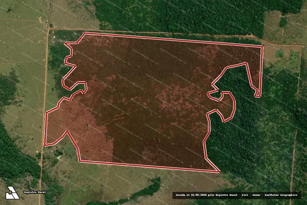 Imagem de satélite de Infração da Flora em Apuí - AM