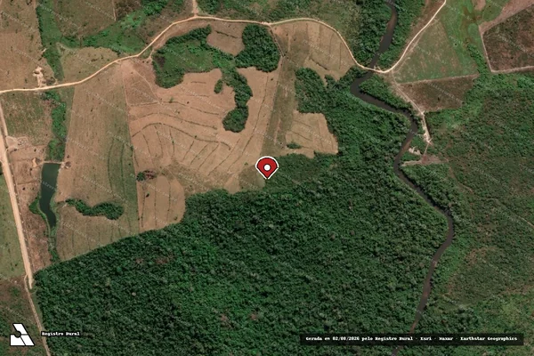 Imagem de satélite de Infração da Flora em Novo Progresso - PA (marcador da localização)