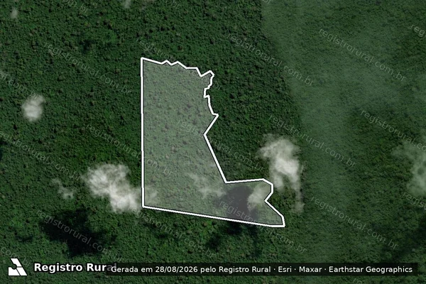 Imagem de satélite de Infração Ambiental em São Félix do Xingu - PA