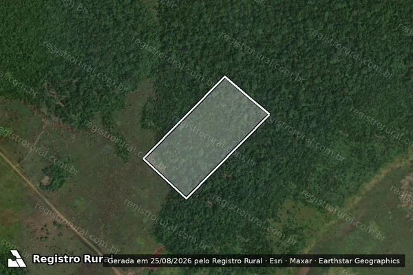 Imagem de satélite de Infração Ambiental em Porto Velho - RO