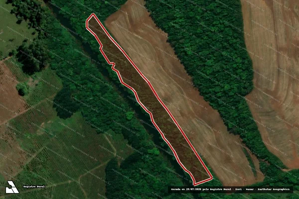 Imagem de satélite — Embargo IBAMA — Infração Ambiental - Planalto/PR