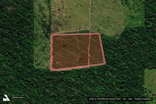 Imagem de satélite — Embargo IBAMA — Infração da Flora — Monte Negro/RO