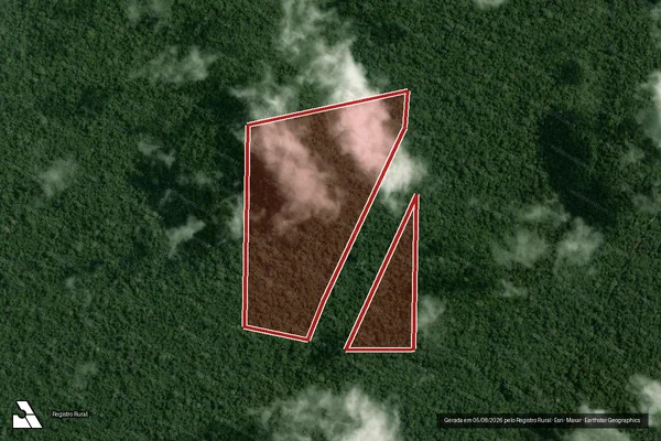 Imagem de satélite de Infração da Flora em Portel - PA