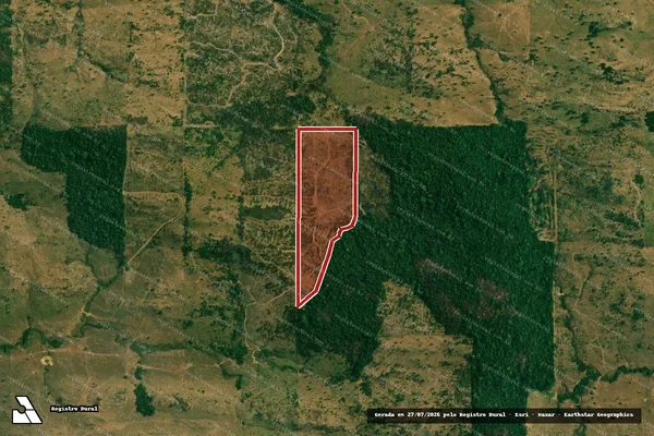Imagem de satélite de Infração da Flora em Buritis - RO