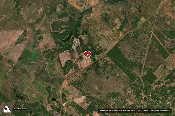 Imagem de satélite de Infração da Flora em Várzea Grande - MT (marcador da localização)