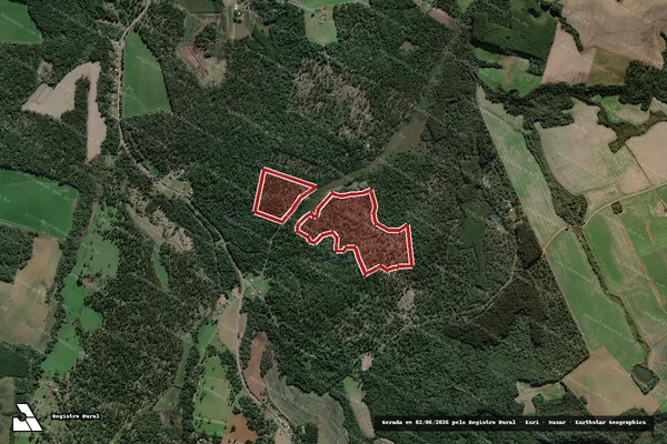 Imagem de satélite de Infração da Flora em São Mateus do Sul - PR