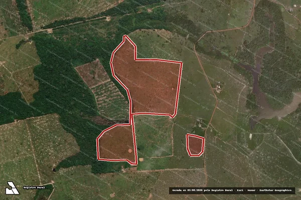 Imagem de satélite de Infração da Flora em Porto Velho - RO