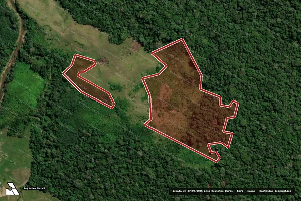 Imagem de satélite de Infração da Flora em Feijó - AC