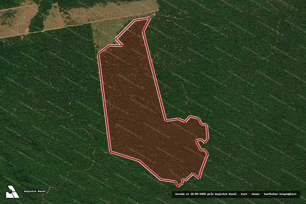 Imagem de satélite de Infração da Flora em Apiacás - MT
