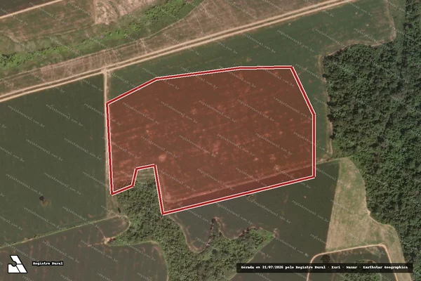 Imagem de satélite de Infração Ambiental em Novo Progresso - PA