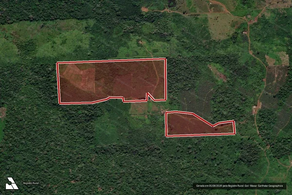 Imagem de satélite — Embargo IBAMA — Infração da Flora - Rurópolis/PA