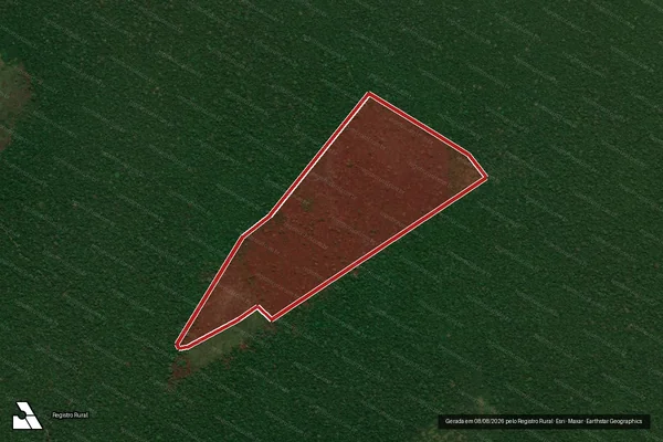 Imagem de satélite de Infração da Flora em Machadinho D'Oeste - RO