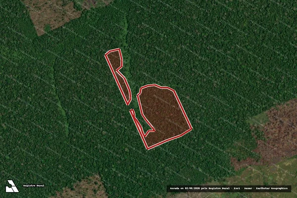 Imagem de satélite de Infração da Flora em Lábrea - AM