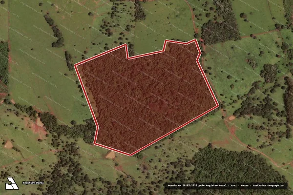 Imagem de satélite de Infração Ambiental em Jaraguá - GO