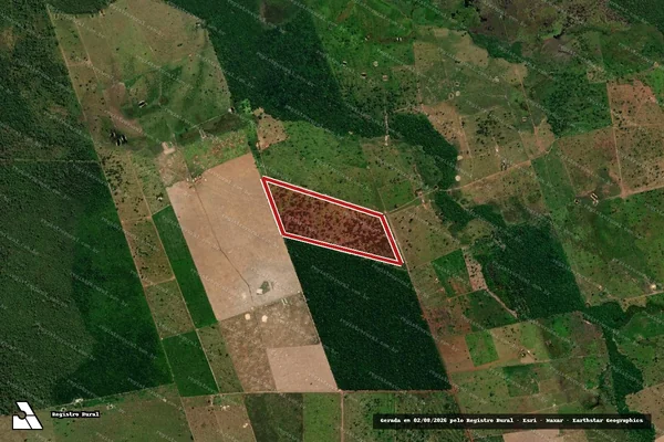 Imagem de satélite de Desmatamento em Vila Bela da Santíssima Trindade - MT