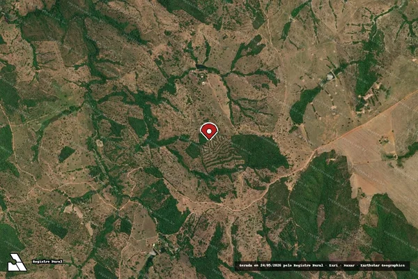 Imagem de satélite de Infração Ambiental em Caldas Novas - GO (marcador da localização)