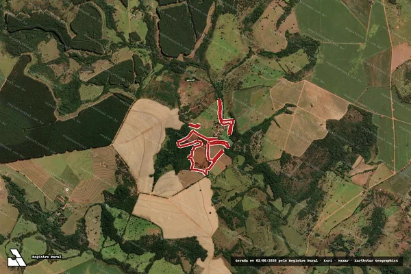 Imagem de satélite — Embargo IBAMA — Infração da Flora — Uberaba/MG