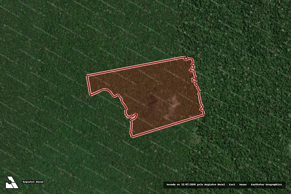 Imagem de satélite de Infração da Flora em Alenquer - PA