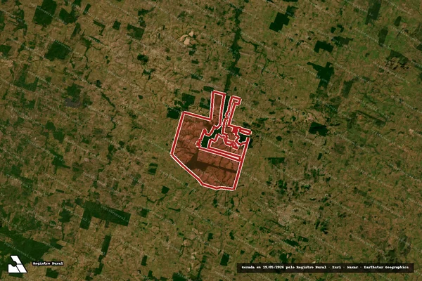 Imagem de satélite — Embargo IBAMA — Infração Ambiental — Xinguara/PA