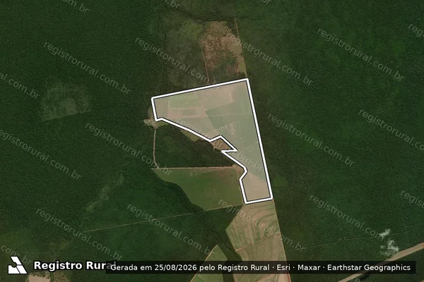 Imagem de satélite de Infração Ambiental em Gaúcha do Norte - MT