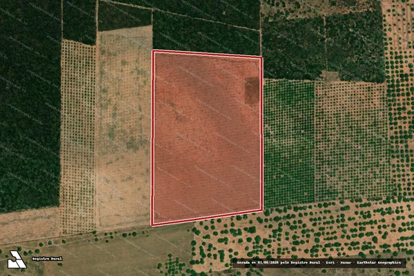 Imagem de satélite — Embargo IBAMA — Infração da Flora — Alto Santo/CE
