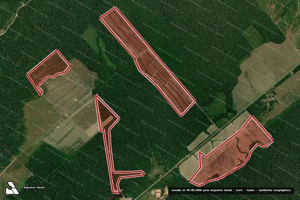 Imagem de satélite de Infração da Flora em Porto Velho - RO