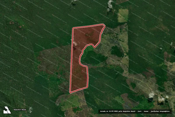 Imagem de satélite de Infração da Flora em Altamira - PA