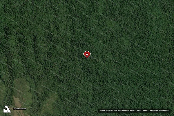 Imagem de satélite de Infração Ambiental em Rondon do Pará - PA (marcador da localização)