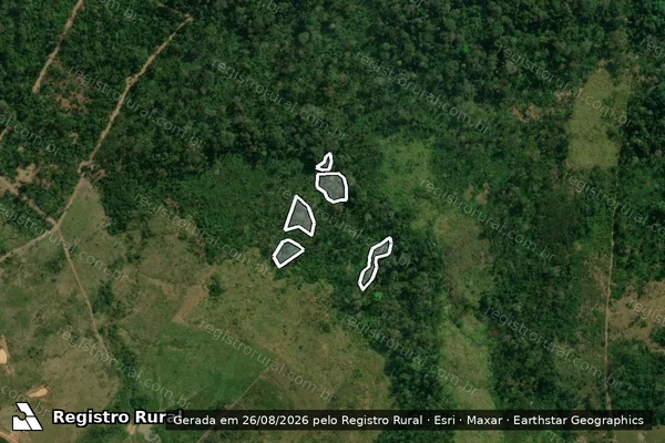 Imagem de satélite de Infração da Flora em Sena Madureira - AC