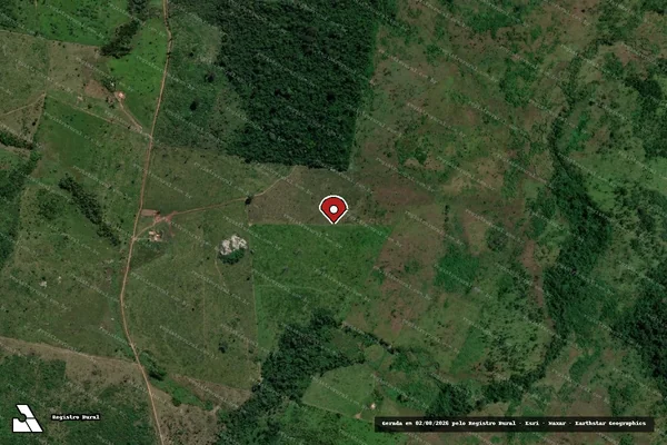 Imagem de satélite de Infração da Flora em São Félix do Xingu - PA (marcador da localização)