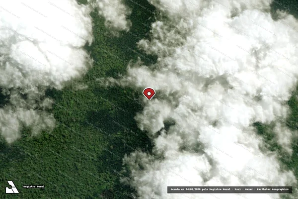 Imagem de satélite de Infração da Flora em Senador José Porfírio - PA (marcador da localização)
