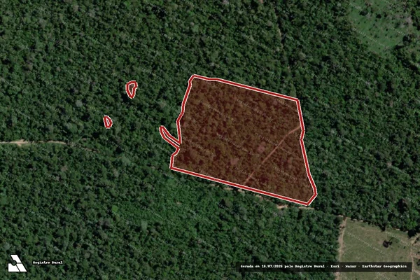 Imagem de satélite de Infração Ambiental em São Félix do Xingu - PA