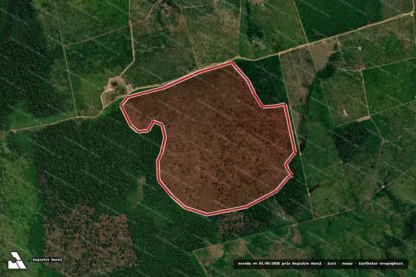 Imagem de satélite de Infração da Flora em Apuí - AM
