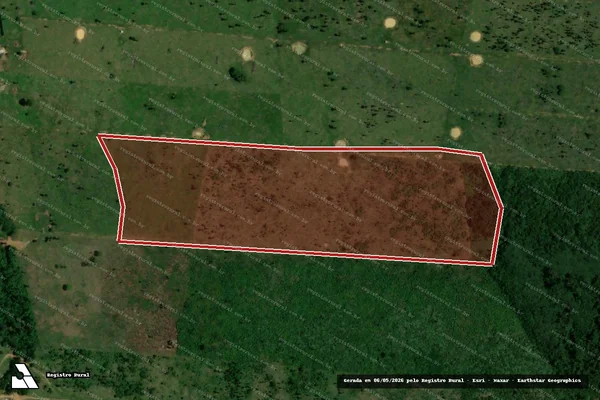 Imagem de satélite de Infração da Flora em Porto Velho - RO
