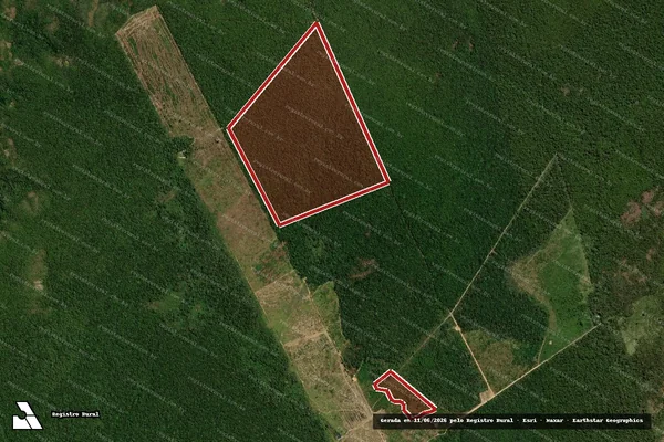 Imagem de satélite de Infração da Flora em Marcelândia - MT