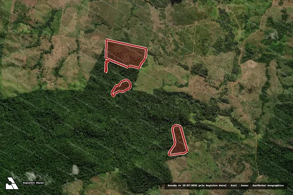 Imagem de satélite de Infração da Flora em São Félix do Xingu - PA