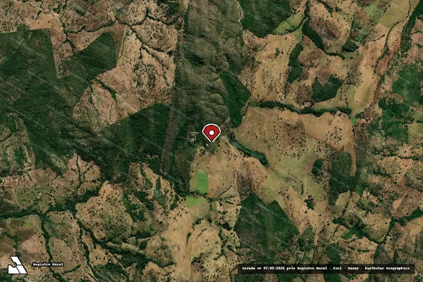 Imagem de satélite de Infração Ambiental em Pilar de Goiás - GO (marcador da localização)