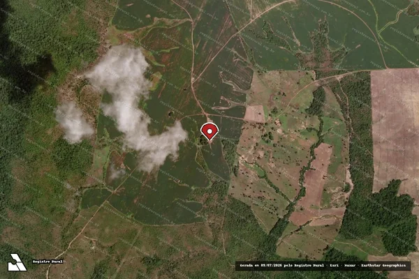Imagem de satélite de Infração Ambiental em Pedro Afonso - TO (marcador da localização)