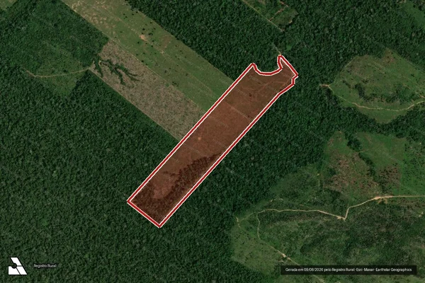 Imagem de satélite de Infração da Flora em Porto Velho - RO